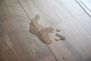 Vinyl Flooring Pros and Cleaning Tips